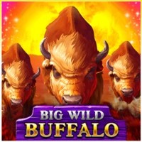 game logo by Belatra Games on crownsgreen.com